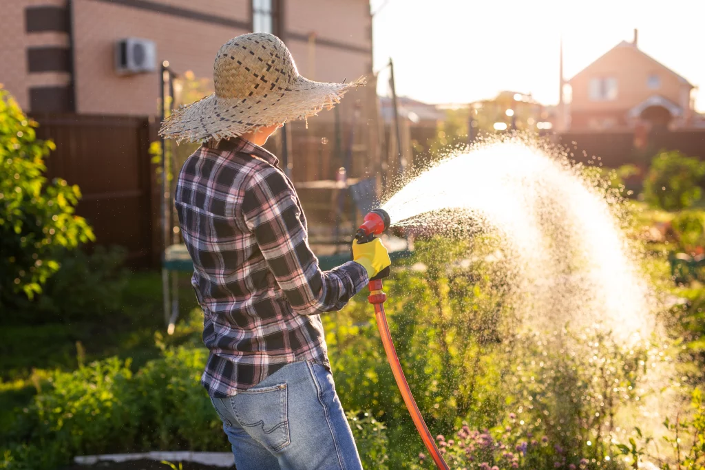 quand arroser jardin