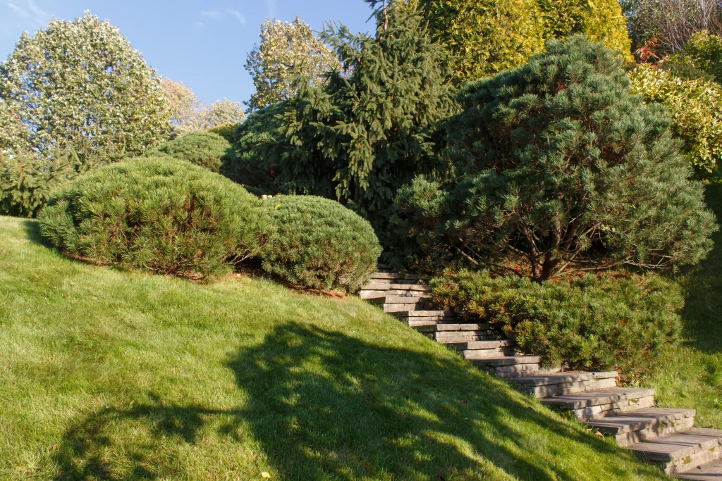 aménagement jardin en pente