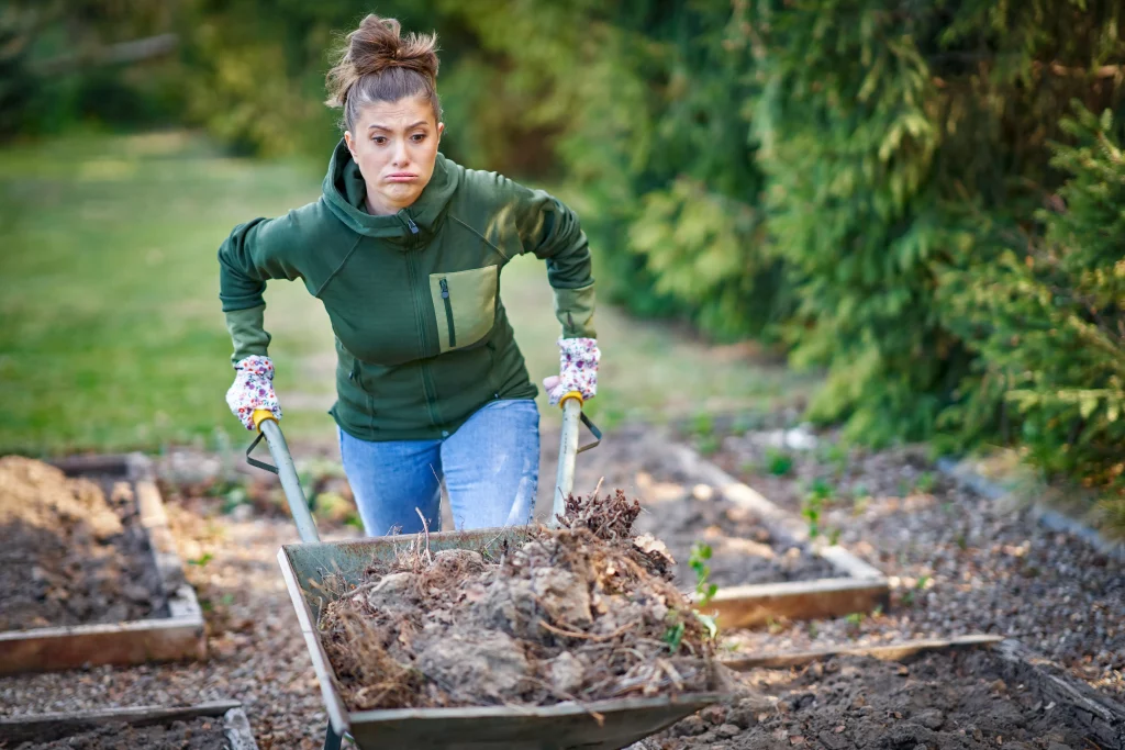 nettoyage potager automne